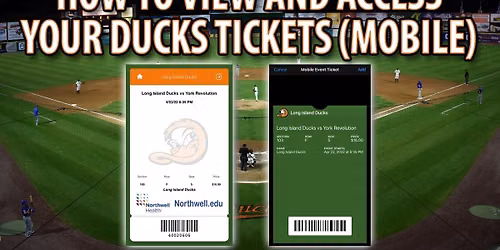 Long Island Ducks at York Revolution at WellSpan Park