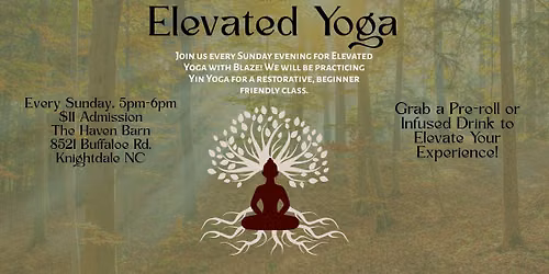 Sunday Night Elevated Yoga