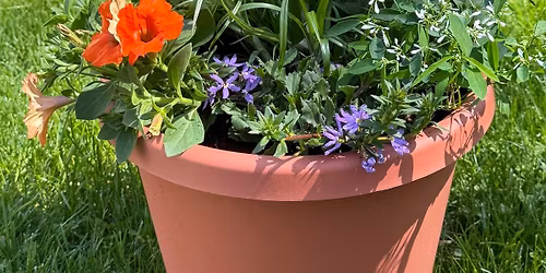 Designer Porch Pot Workshop