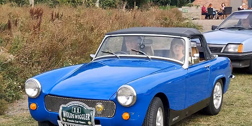 Wolds Wiggler - Classic