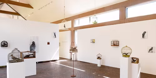 Black Bird Redemption Song Exhibition Tour