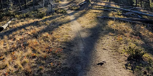 11th Annual Pete Sorini Trail Day