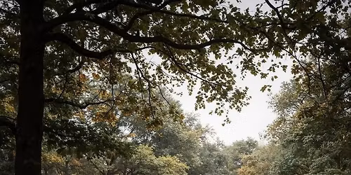 Targi Tani Dom W\u0142asny