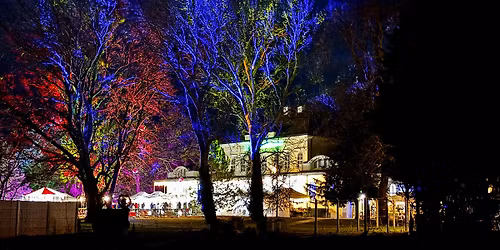 Kar\u00e1csonyi v\u00e1s\u00e1r