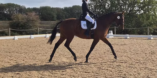 Rearsby Lodge RC Open Dressage Show