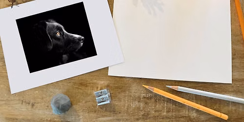 Black Dog Pencil Workshop with Shannon Mullin
