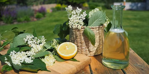 Elderberry party: DIY syrup and elderberry whistles_ bezov\u00e1 p\u00e1rty: p\u0159\u00edprava sirupu a p\u00ed\u0161\u0165alky z bezu