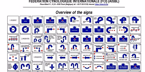 Rally-FCI z Vilemin\u0105 Kracikov\u0105