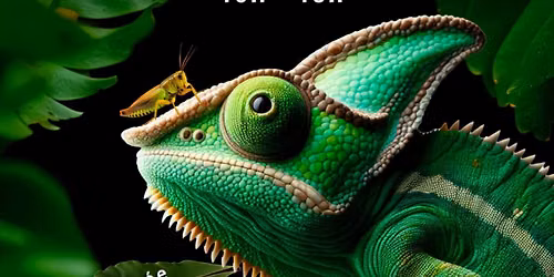 Bourse aux Reptiles de B\u00e9thune 30 ao\u00fbt 2026