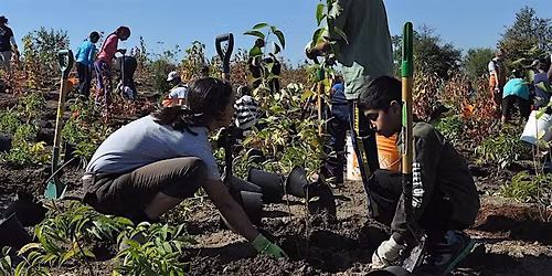 Donnelly East Tree Planting