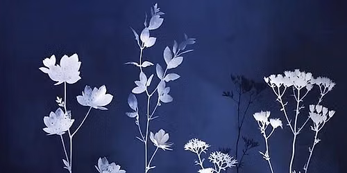 Meet & Make: Cyanotype Workshop Series