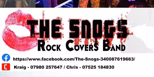 THE SNOGS LIVE AT THE LUMLEY \ud83c\udfb8