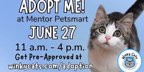 Winky Cats SATURDAY ONLY Adoption Event June 27, 2026 at Mentor PetSmart
