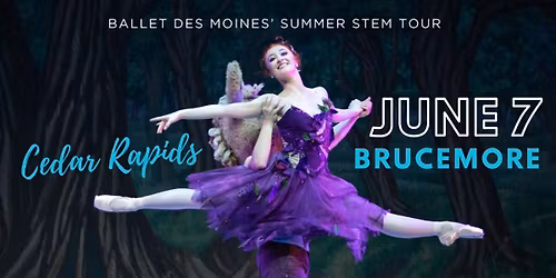 Ballet Des Moines - Des Moines