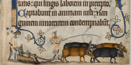 Weather and Its Perceptions in Fourteenth-Century England (IN PERSON)