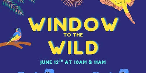 Window to the Wild Presents Birds!