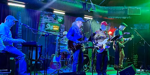 Concerts in the Park: The Wild HouseKats
