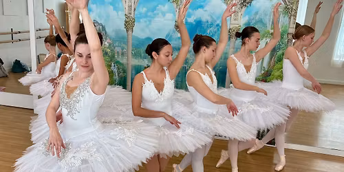 Swan Lake \ud83e\udda2Ball