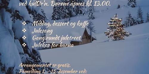Jul i Heim
