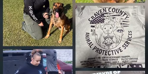 Paws on the Battlefield