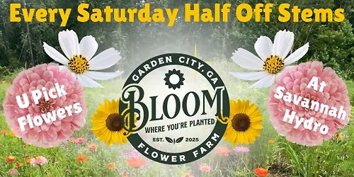 Half Price Stems Every Saturday at Bloom (Where You're Planted) You-Pick Flower Farm