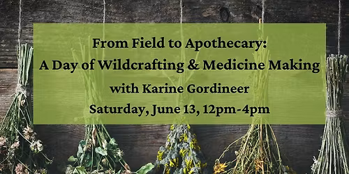 From Field to Apothecary: A Day of Wildcrafting & Medicine Making