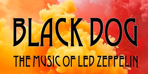 BLACK DOG at The Green Knoll