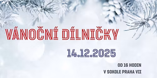 V\u00e1no\u010dn\u00ed d\u00edlni\u010dky