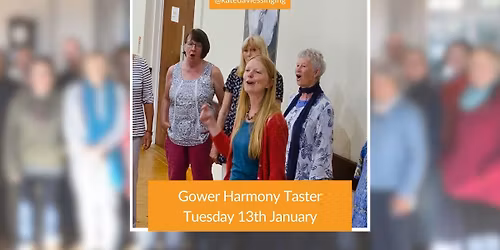 Gower Harmony (Tuesday) Taster