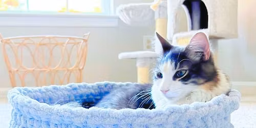 Crochet for Beginners: Make Your Own Cozy Basket