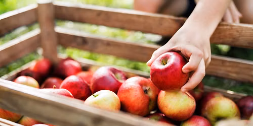 Apple Days Fest