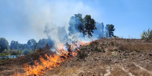 Wildland Firefighter \ufeff\ufeffBasic Course S-130 S-190 L-180