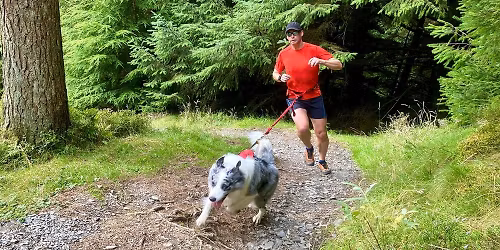 Lakeland Paws canicross series