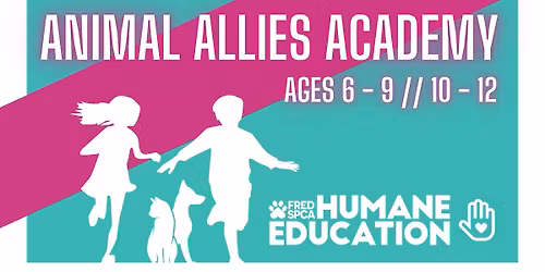 Animal Allies Academy: DECEMBER Ages 10 - 12 Session