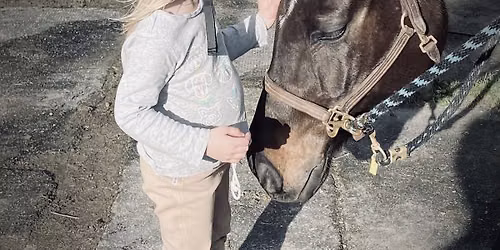 Preschool Princess Pony Camp at Kamp Kellenbrook