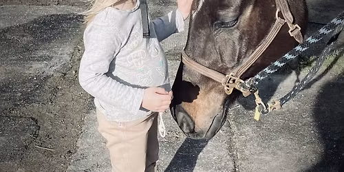 Preschool Princess Pony Camp at Kamp Kellenbrook