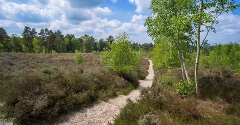 MABAC - WISLEY - Pyrford puffers