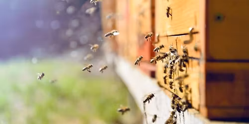 Beginner Bee School Registration 2026