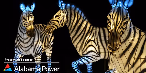 Wild World of Animals Live