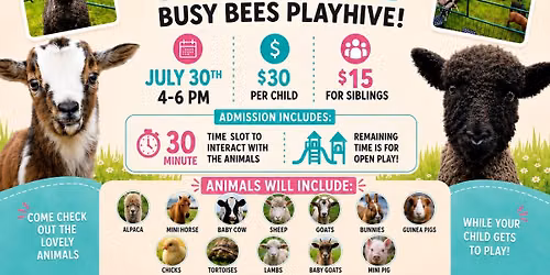 Carly\u2019s Critters @ Busy Bees\u2019 PlayHive!
