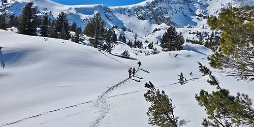 Къркъмски чал в Пирин