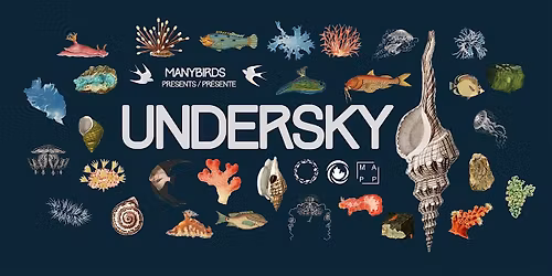 UNDERSKY