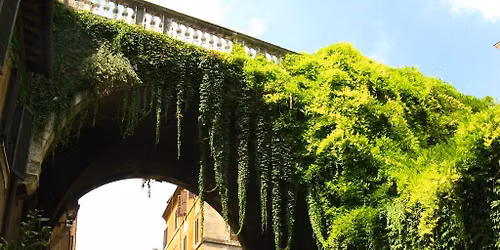 Una passeggiata su Via Giulia tra storia, poesia e bellezza