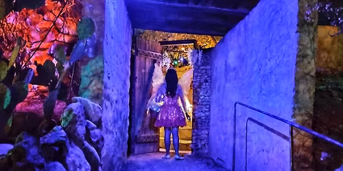 Free First Saturday Free to Roam 