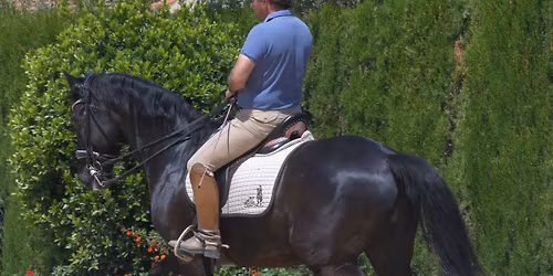 Clinique Classical Dressage with Gonzalo Diaz