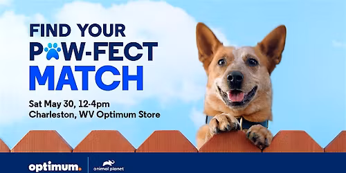 Find Your Paw-fect Match at our Pet Adoption Event