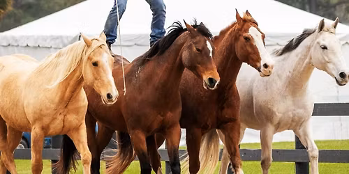 Ghosts of Hill County