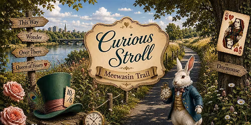 Curious Stroll