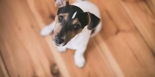 Wednesday Group Class