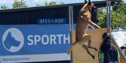 Unterordnungs Seminar " spielend Motiviert" mit Tanja Zillmann